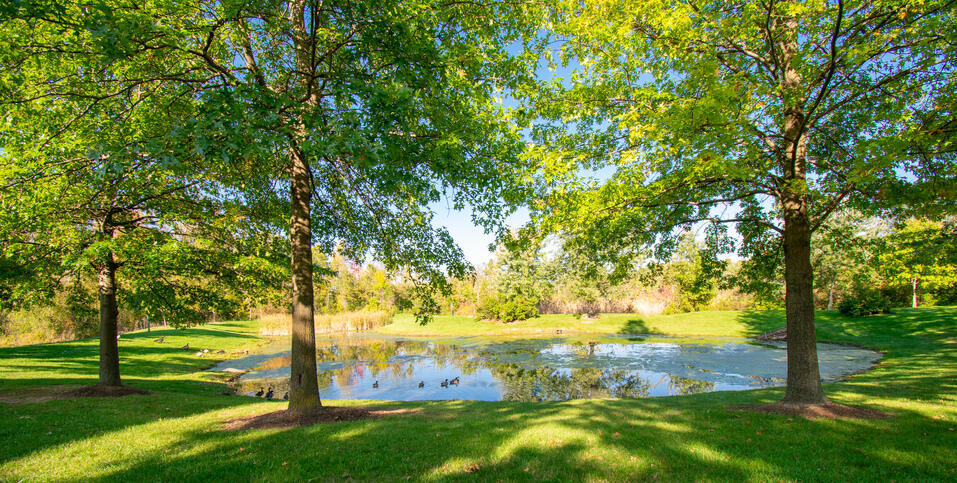 A beautiful nature park in Barclay Park