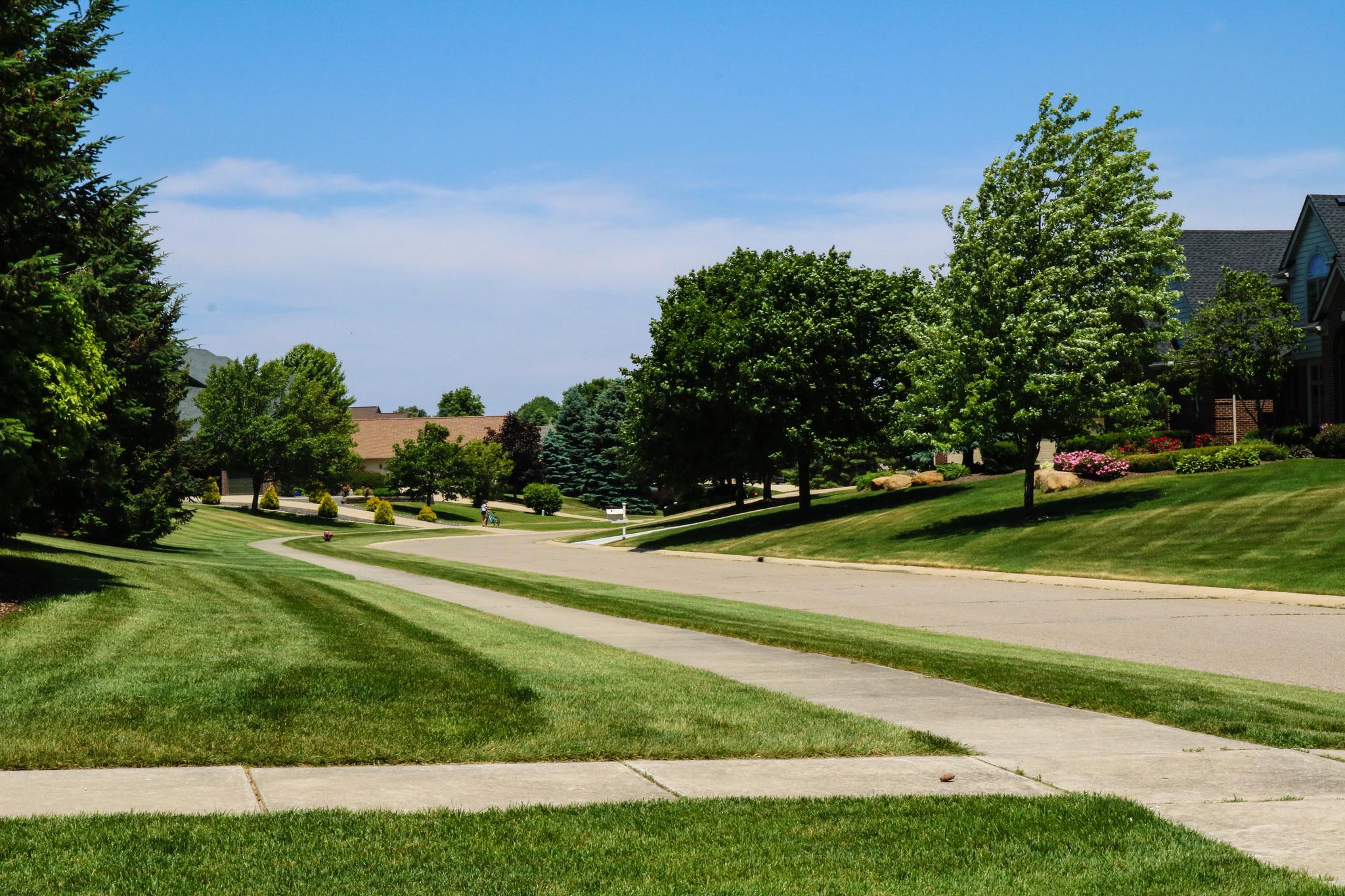 tree lined street in Prestwick Village