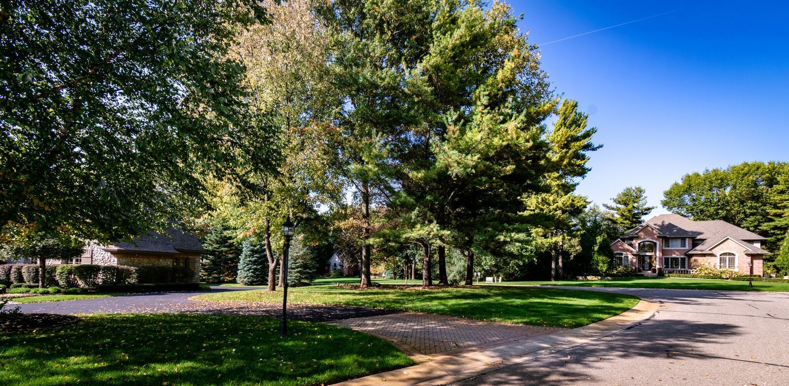 Homes in Forest Ridge of Milford