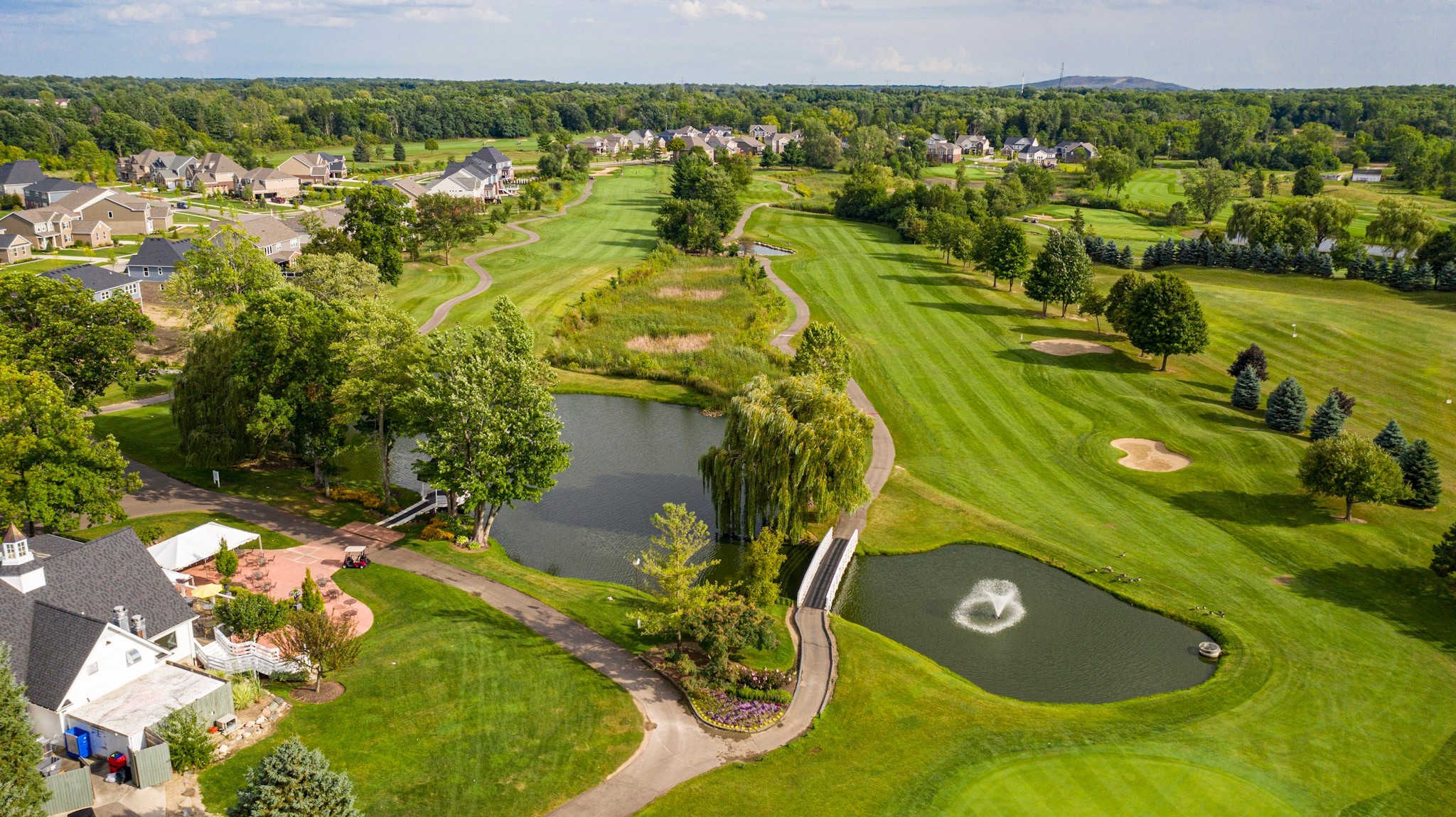 Tanglewood South Lyon aerial overview - 12