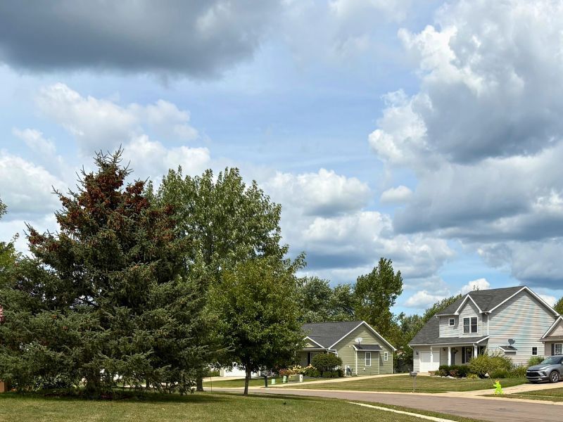 Silver Springs Fowlerville